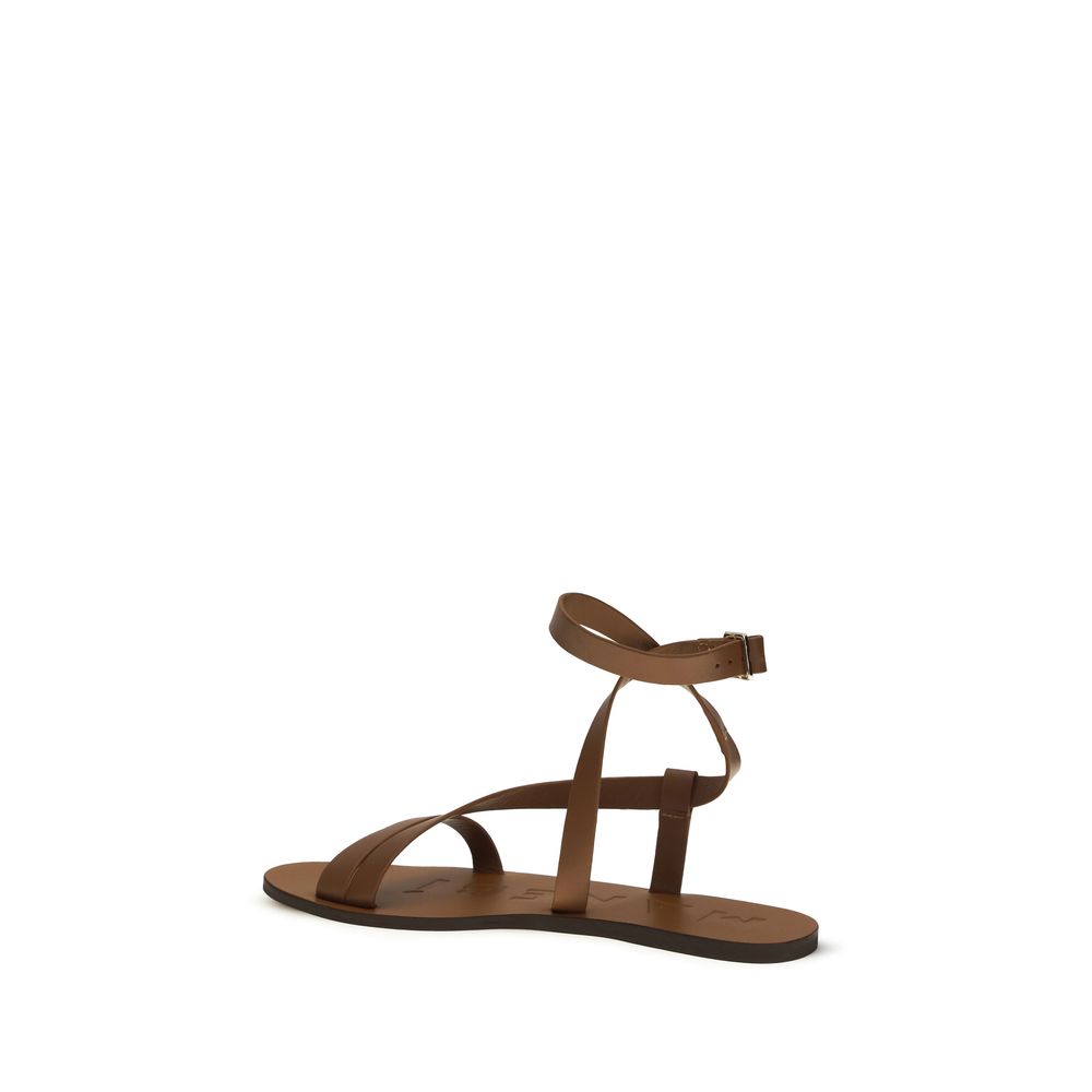 Flat Sandals by Manebi for women in bos taurus calf leather brown showcases a sculptural silhouette as Women's Bos Taurus Calf Leather Flat Sandals, defined by a sculptural flat and sculptural for a sculptural look.