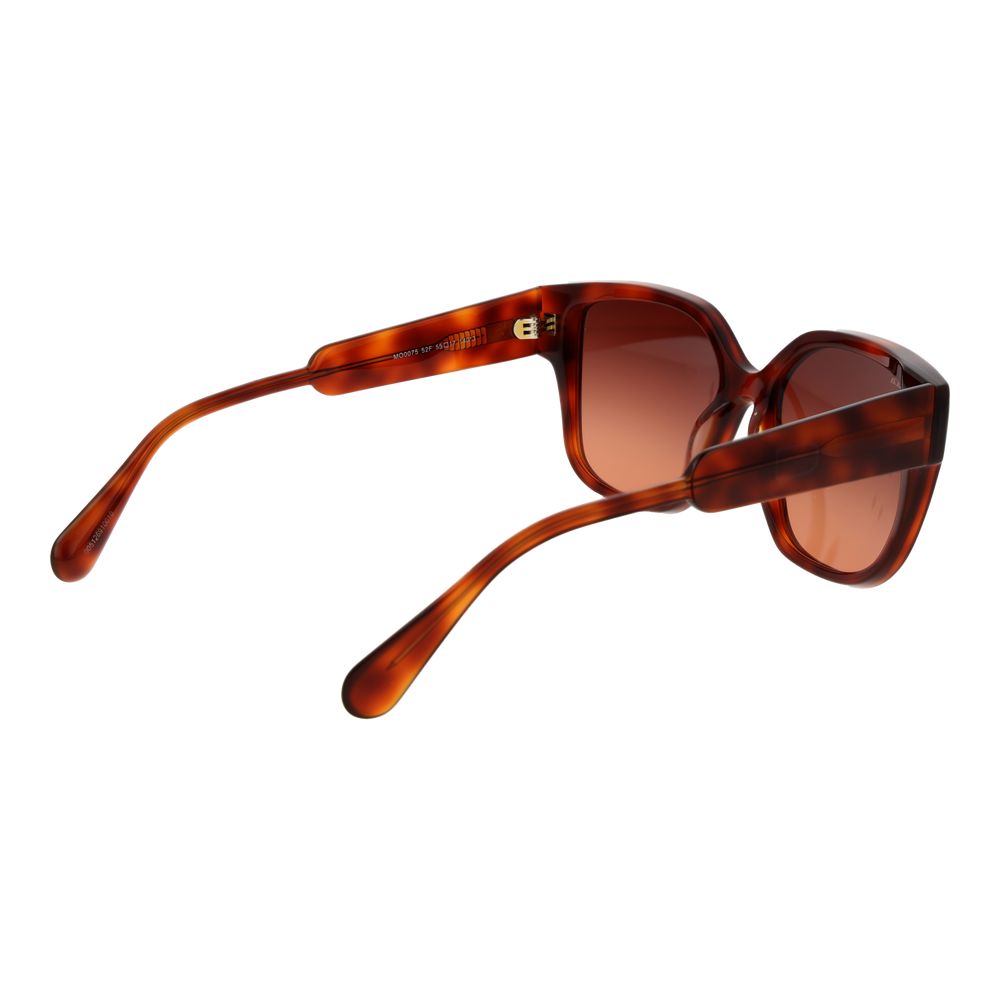 Max & Co Butterfly Gradient Dark-Tint Plastic Sunglasses - Brown