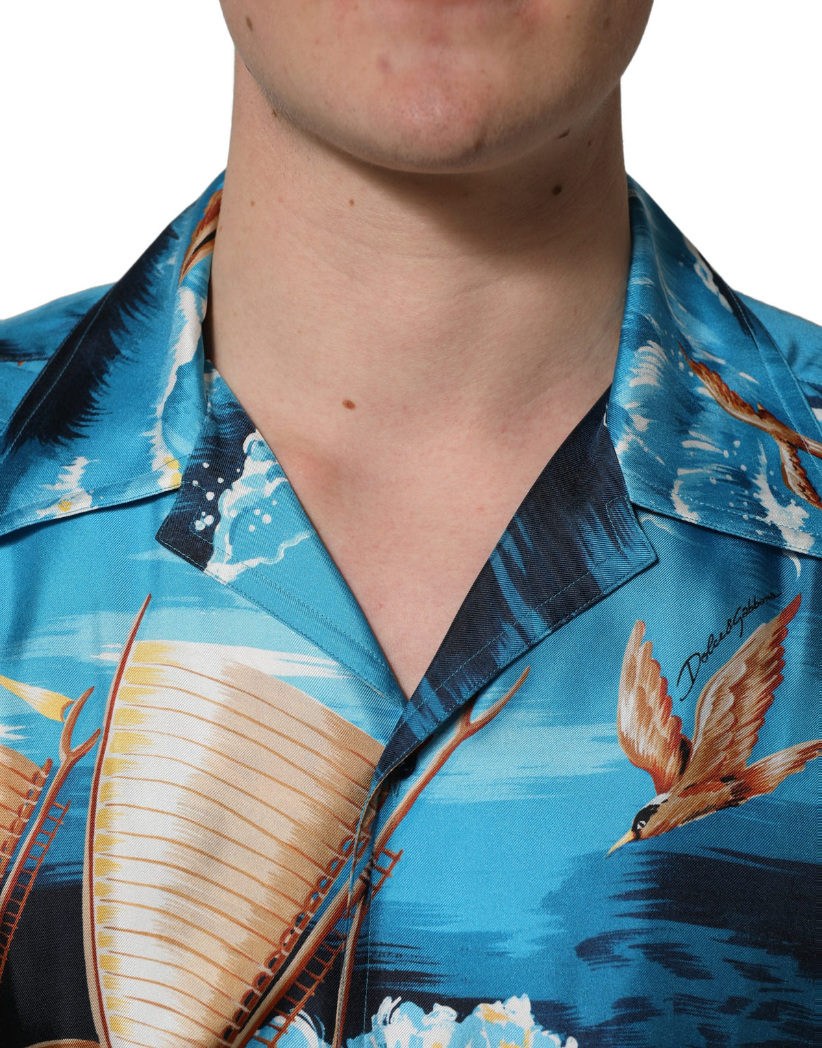 Dolce & Gabbana Men's Regular Fit Short-Sleeve; Long-Sleeve Silk Twill Shirt - Blue Patterned Print