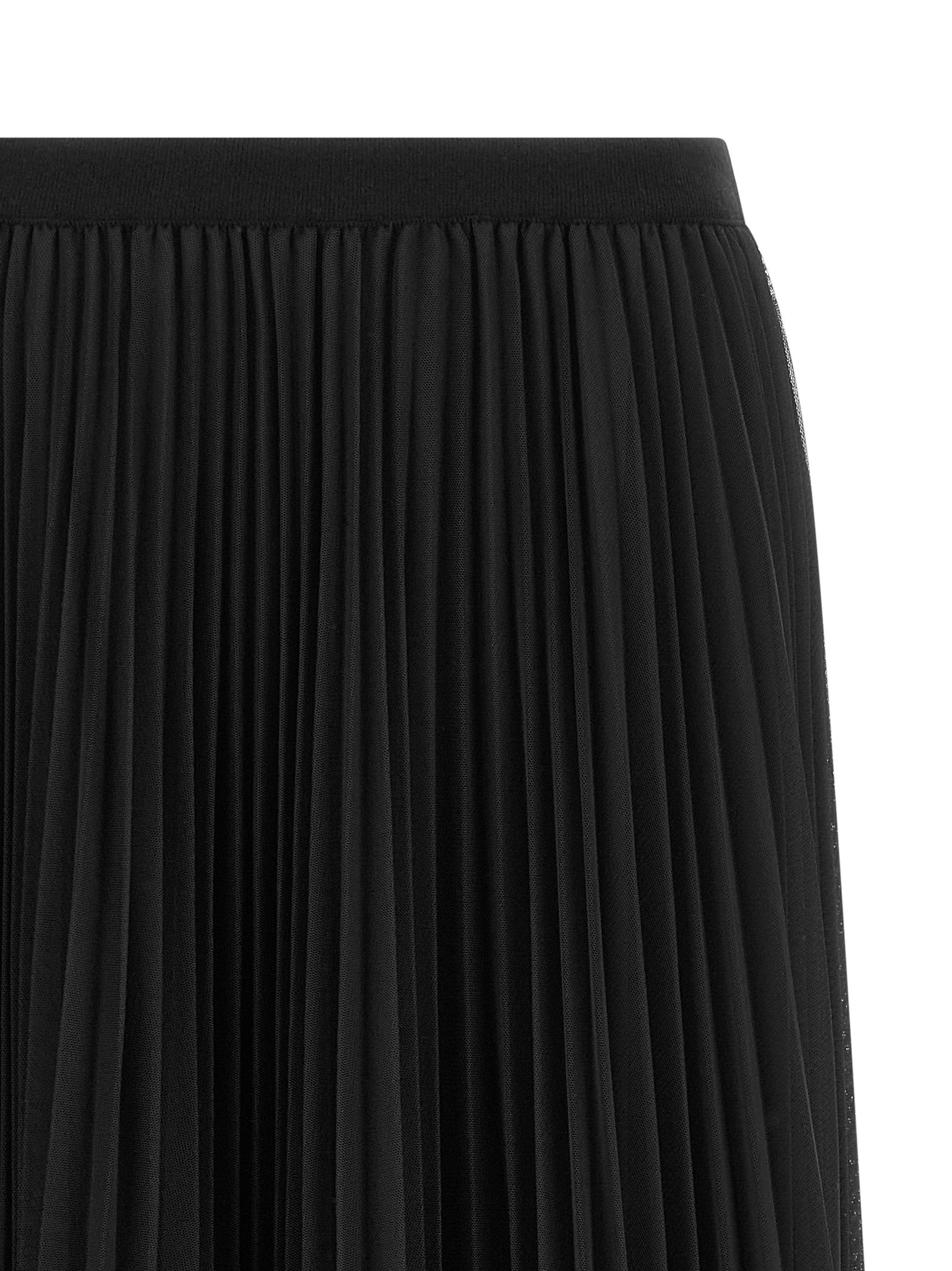 Skirt by Fabiana Filippi for women in polyester blue & transparent showcases a dramatic silhouette, artfully capturing the essence of the Play Women's Pleated Polyester Midi Skirt in a dramatic midi cut for a refined look.