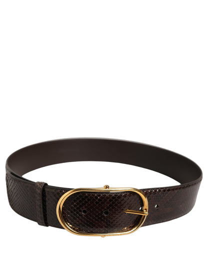 Dolce & Gabbana Brown Python Leather Gold Metal Buckle Belt