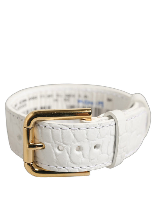 Dolce & Gabbana Embossed Calf & Lamb Leather Belt - Gold White