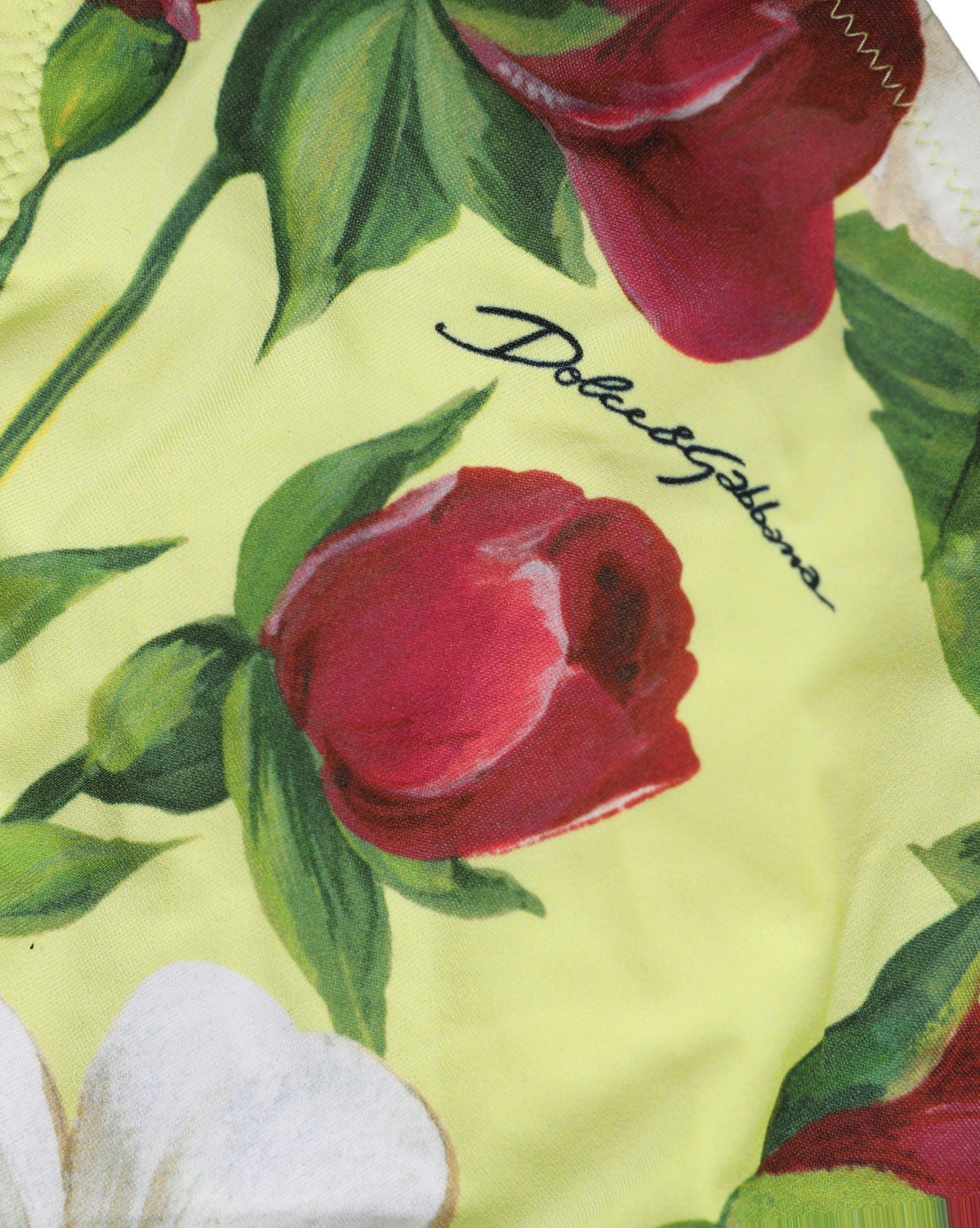 Dolce & Gabbana Women's Nylon Bikini - Yellow Floral Signature Print