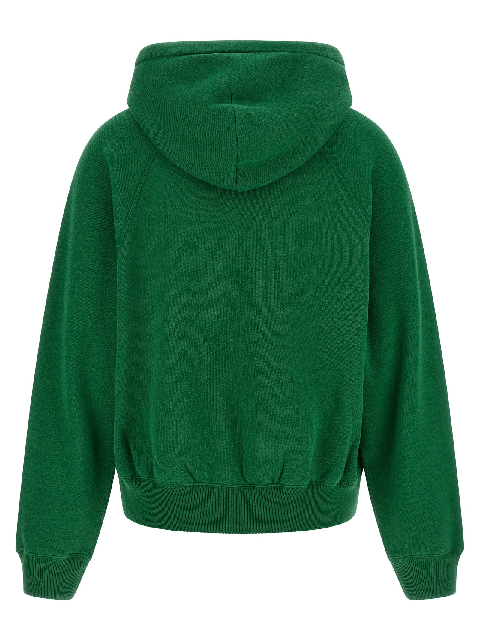 Sweatshirt Hoodie by Polo Ralph Lauren for women in cotton polyester bicolour & green features a edgy silhouette, detailed with a edgy hooded neckline and for a refined finish.