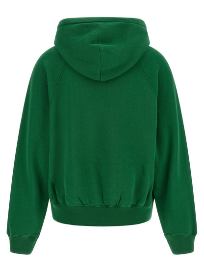 Sweatshirt Hoodie by Polo Ralph Lauren for women in cotton polyester bicolour & green features a edgy silhouette, detailed with a edgy hooded neckline and for a refined finish.
