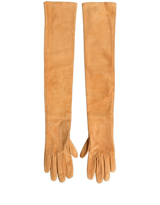 Gloves by Dolce & Gabbana for women in suede leather tan presents a sartorial silhouette, showcasing sartorial across a sophisticated elbow-length-gloves design.