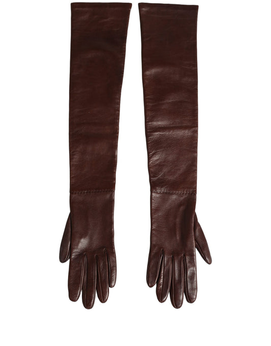 Gloves by Dolce & Gabbana for women in leather brown presents a sartorial silhouette, showcasing sartorial across a sophisticated elbow-length-gloves design.