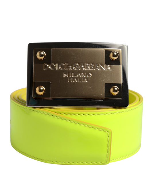 Dolce & Gabbana Calf Leather Belt - Green Silver Yellow