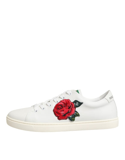 Dolce & Gabbana Women's Low Top Calf Leather & Rubber Sneakers - Pink Red Rose White Patterned